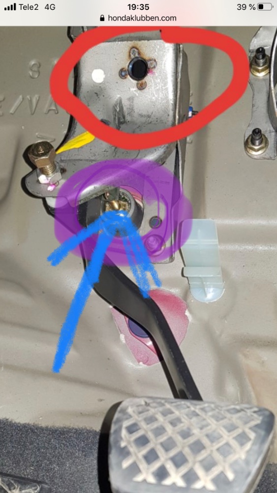 35DAA3DF-92F2-4F32-AF38-B7A2113D4CC4.jpeg