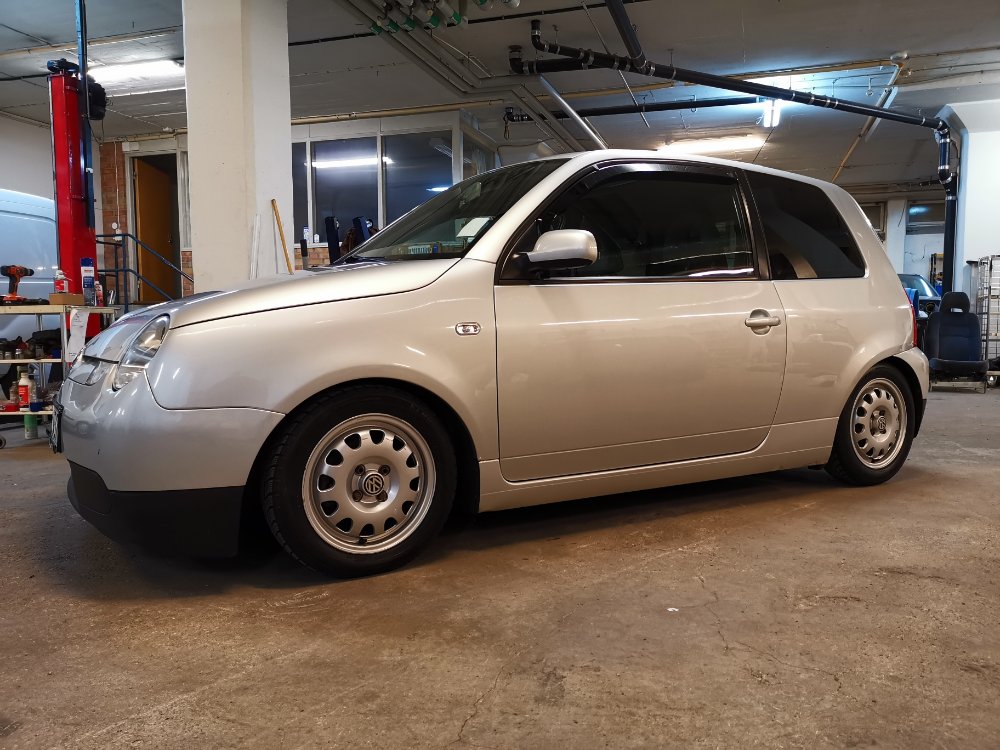 Lupo 3L