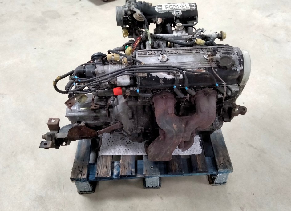 org motor.jpg