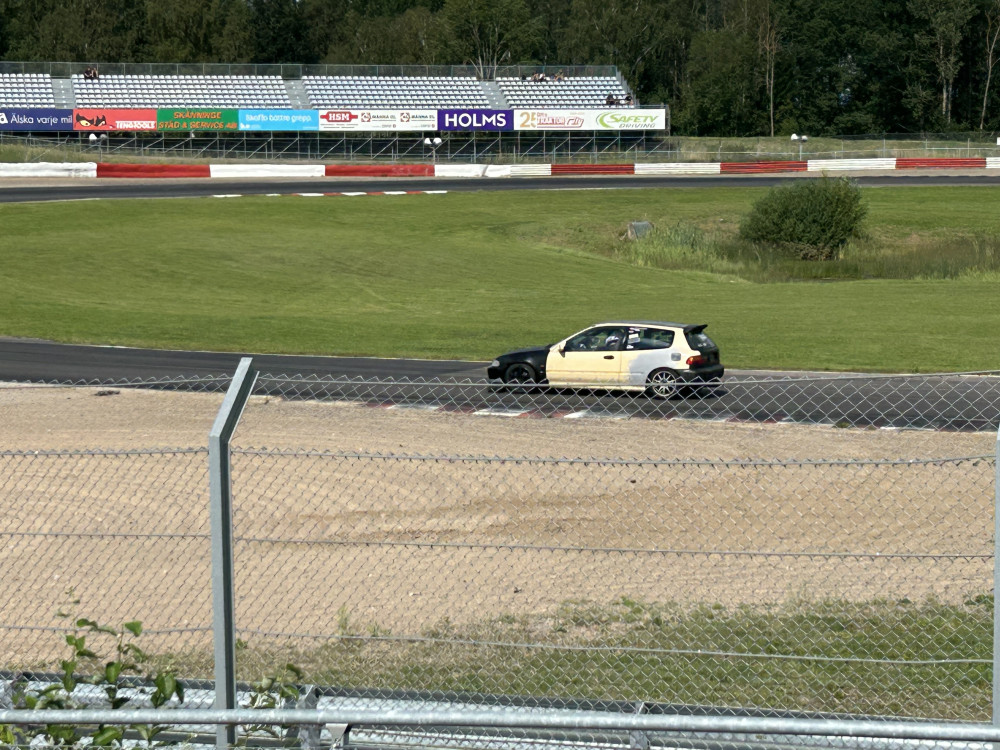 IMG_2435.jpeg