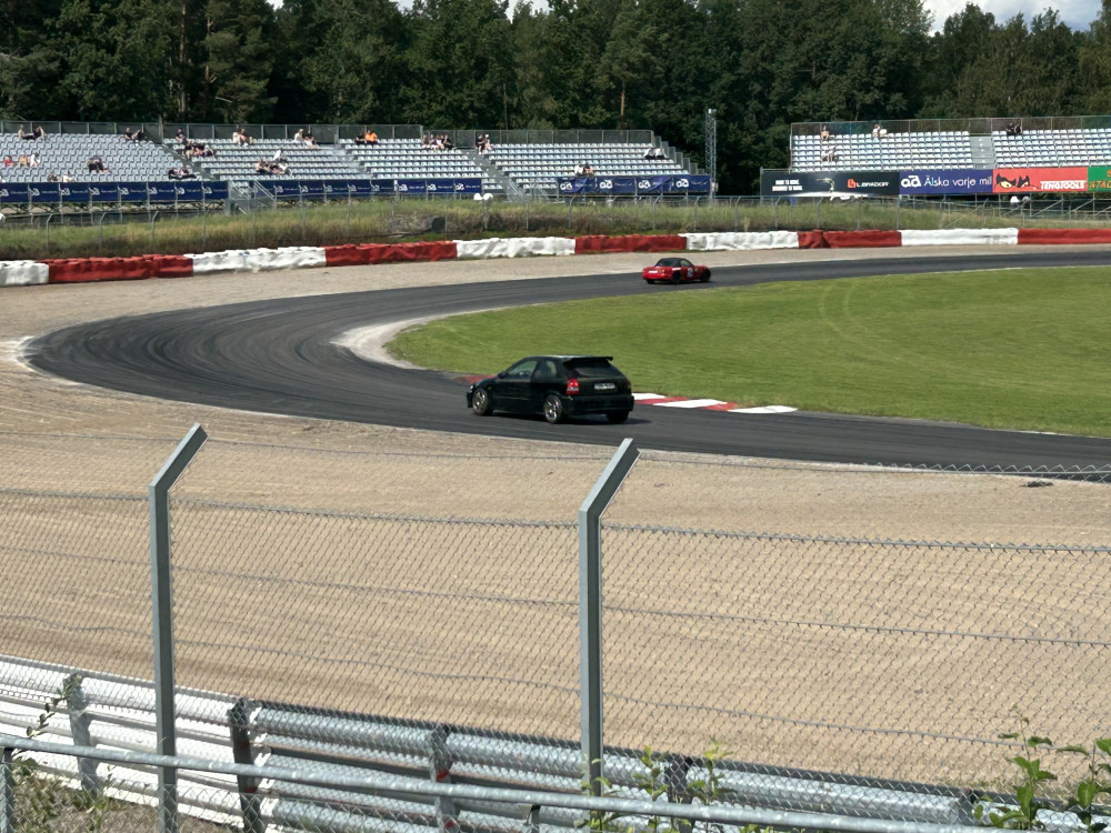 IMG_2425.jpeg