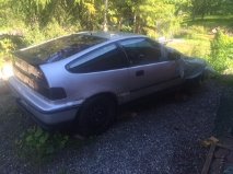 crx8.jpg