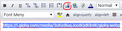 img-tag.PNG